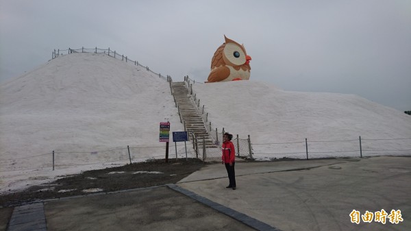 可以爬上鹽山親近貓頭鷹。（記者楊金城攝）