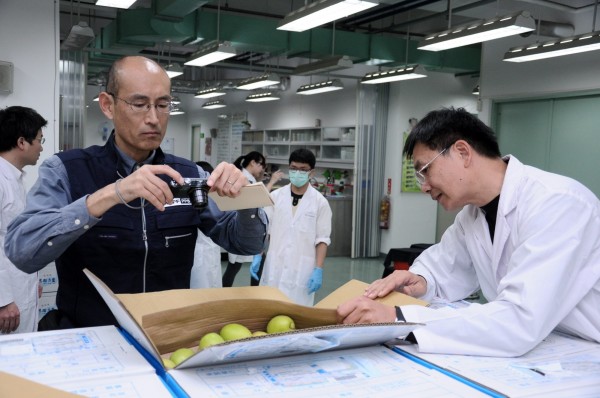 由於棗子是東方果實蠅疫區的寄主，輸銷日本須克服檢疫障礙。（防檢局提供）