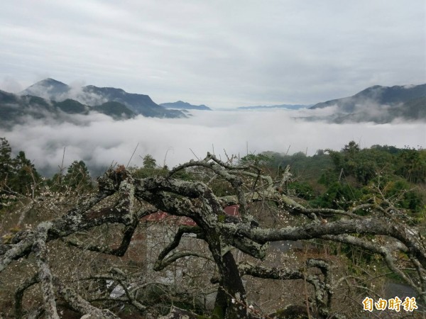 中央氣象局指出，今天（30日）清晨氣溫仍低，平地最低溫在嘉義僅13.4度，隨著冷氣團減弱，白天各地氣溫將回升。（資料照，記者劉濱銓攝）