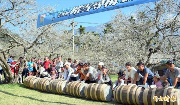 南投縣信義鄉踏雪尋梅之「甜蜜負擔夫妻揹負」及「滾橡木桶」活動，民眾參與踴躍。（記者謝介裕攝）<b>☆飲酒過量  有害健康  禁止酒駕☆</b>