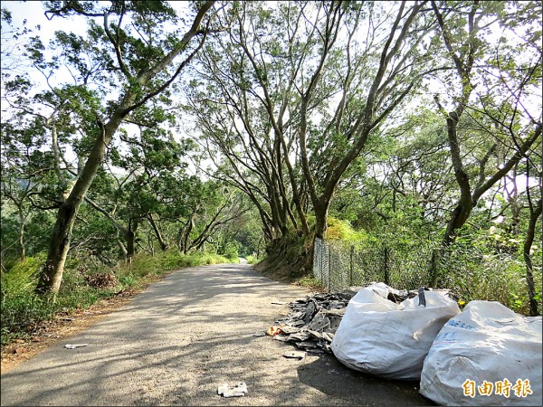 新竹縣竹東鎮公園路通往寶二水庫路上的的私房景點「綠色隧道」，遭人傾倒廢棄石棉瓦。（記者蔡孟尚攝）