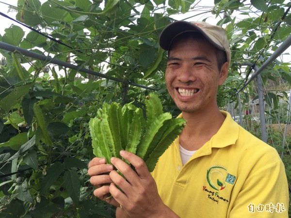 廖友廖家助認為翼豆有發展潛力。（記者張存薇攝）