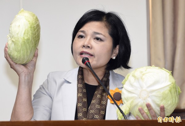 國民黨立委張麗善（圖）今日受訪表示，很意外韓國瑜會出來選，「我認為他志不在黨主席！」並強調，北農沒有派韓出來選。（資料照，記者陳志曲攝）