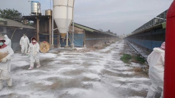 雲林又有雞場感染禽流感，防疫所人員全場消毒，避免病毒擴散。（雲林縣政府提供）