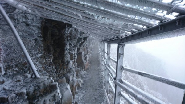 冷氣團襲台，原預估玉山可能降雪，但今仍僅結出霧淞，主峰線步道濕滑，山友應特別留意。（玉管處提供）