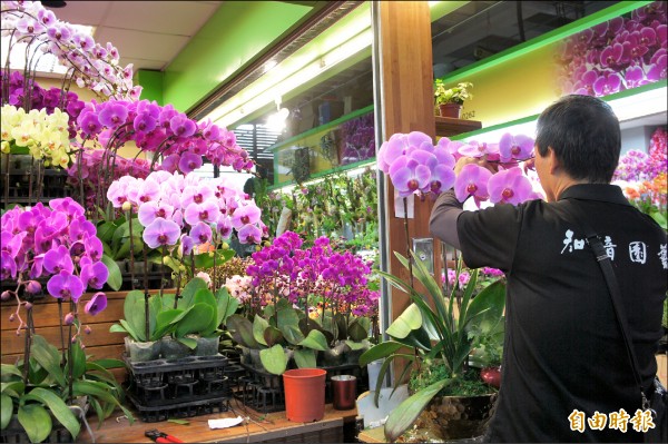 台北市各花市配合年節，分別延長營業時間。（記者黃建豪攝）