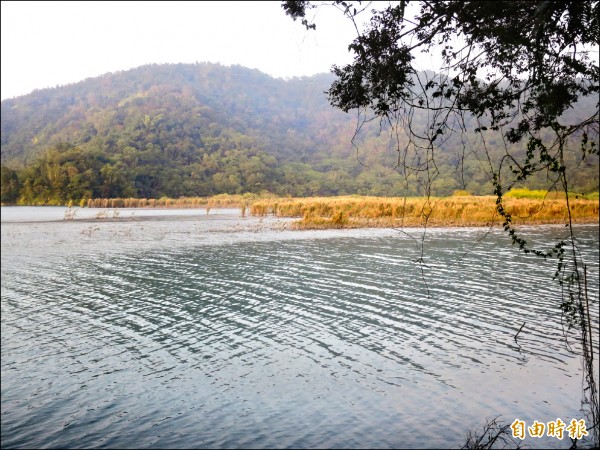 日月潭大竹湖水域因進水口夾帶淤泥，淤積嚴重成為沙洲，台電已進行清淤工作。（記者劉濱銓攝）