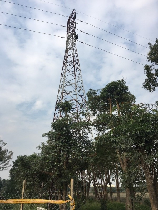 黃男爬上近30公尺高的電塔，險些碰觸6萬9千伏特的高壓電線，令底下警消捏把冷汗。（記者李立法翻攝）