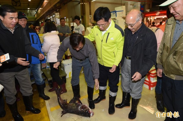 臺中市長林佳龍視察魚市場，目睹大頭鰱摔三次，不忍心地說:「讓牠休息一下吧！」（記者廖耀東攝）