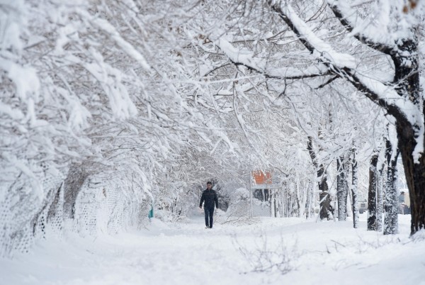 阿富汗近來連3天降大雪，導致一連串雪崩災害，造成全國1百多人死亡。（法新社）