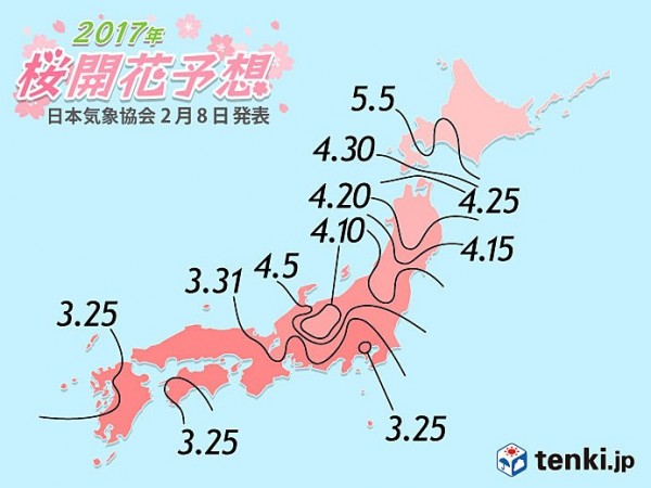 日本氣象協會公佈了2017年日本櫻花開花時間預測。（圖擷自日本氣象協會網站）