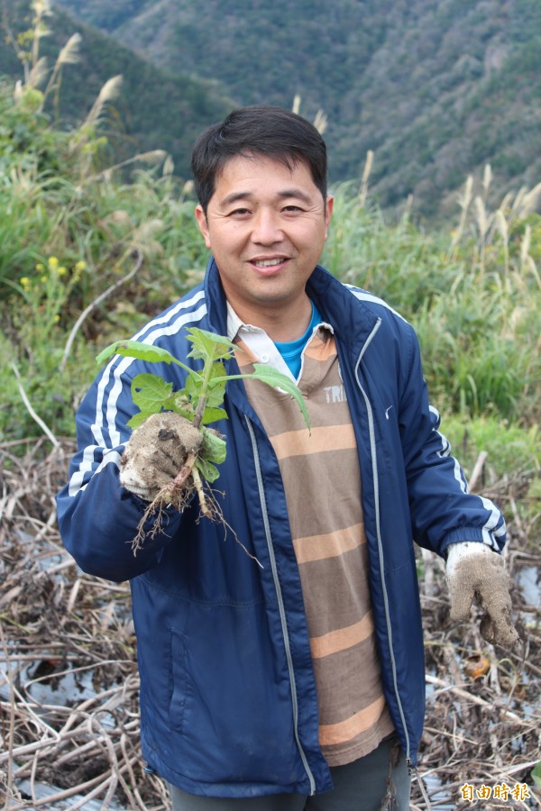 新竹縣尖石鄉控溪部落青年農民陳力，本身具有中國中醫師執照，卻因「靈魂屬於部落」而歸鄉務農。（記者黃美珠攝）