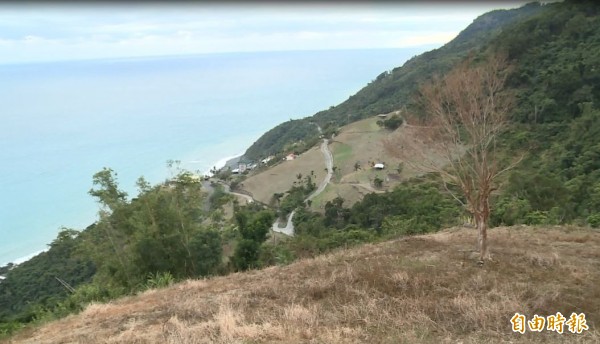 多良火車站上方山坡地有農民開墾栽種小米、紅藜等作物。（記者王秀亭攝）