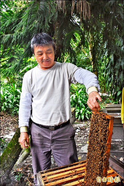 擁有近20年養蜂資歷的林陽明，自養豬農轉型成養蜂人，並克服多年蜂螫恐懼，堅持調製天然草酸糖液防止「蜂虱」。（記者王峻祺攝）