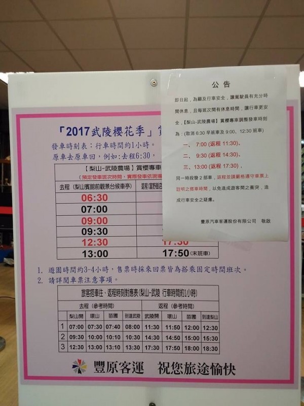 豐原客運公告「武陵櫻花季」賞櫻專車發車及收班時間異動。（民眾提供）