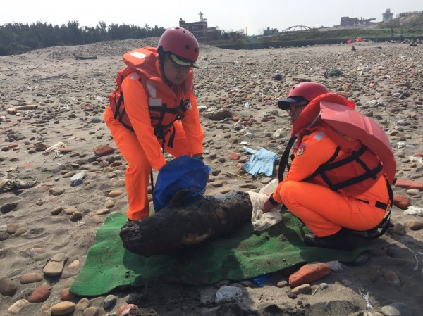 海巡署人員已將死亡江豚交由中華鯨豚協會人員帶回。（海巡署提供）