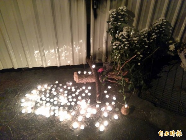 花蓮縣政府列管288百年老松遭人毒死，支解移除，居民今晚舉行追悼會並擺上蠟燭。（記者王錦義攝）