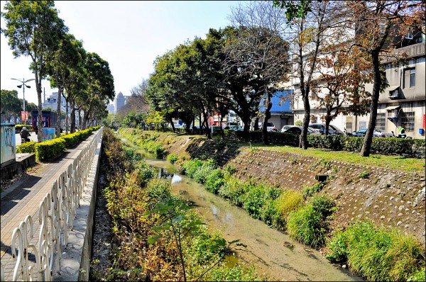 中壢區中園路隔離綠帶及綠美化工程預計明年5月完工。（記者周敏鴻攝）