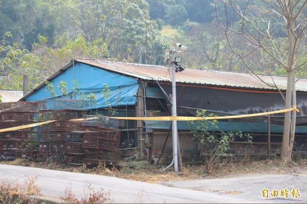 疑感染H5N6 新埔養雞場主：對雞隻健康有信心