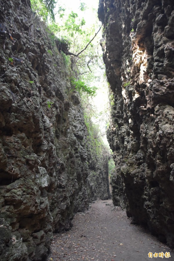 大崗山秘境盤龍峽谷一線天步道，最近被鋪上厚厚一層沙土，山徑雖變得平整好走，卻嚴重破壞生態。（記者蘇福男攝）