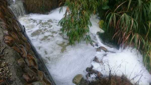 新竹縣關西鎮水坑溪今早被人發現覆蓋大量白色泡沫，民眾將矛頭指向附近一家科技公司；縣府環保局已在泡沫區和該科技公司放流口採樣送驗，追查元兇。（記者廖雪茹翻攝）