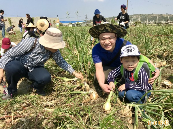 親子一同下田「ㄎㄠ」（拔）洋蔥，體驗一日農夫樂趣。（記者洪臣宏攝）