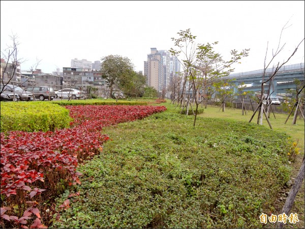 3年種2200萬植栽新北議員批灌水 地方 自由時報電子報