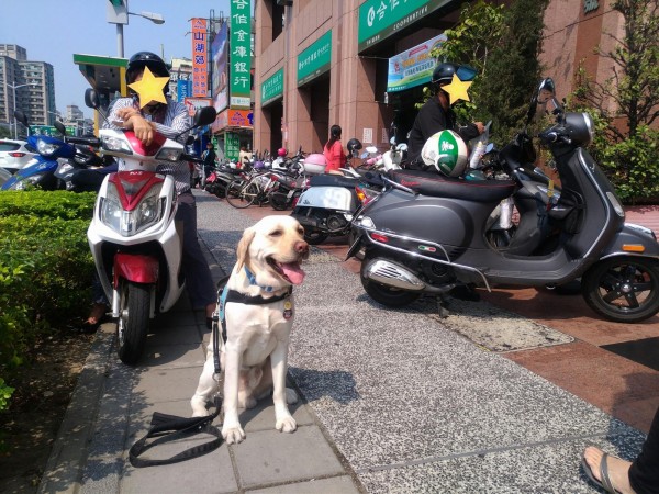 一名婦人違規停車又擋到牽著導盲犬的路人，竟然嗆路人「怎麼可以叫我借過？」，還不斷跳針說「妳的狗嚇到我啦，妳的狗有問題」。（圖擷自《Guide Dog – Star》臉書）