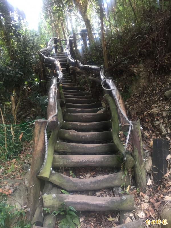 台中大坑登山步道採用相思木作為木棧道，深具特色，市府將開放企業等認養。（記者歐素美攝）