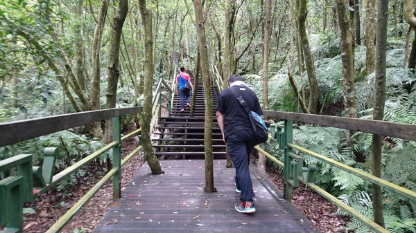 週日內雙溪自然中心將舉辦「森林樂活嘉年華」活動。（圖由台北市工務局大地工程處提供）