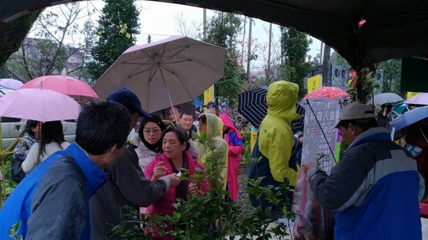 羅東林管處今天送出近4000株樹苗，響應植樹活動。（圖由羅東林管處提供）