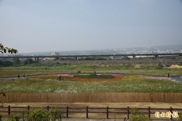 新建吊橋擬跨越貓羅溪花海。（記者陳鳳麗攝）