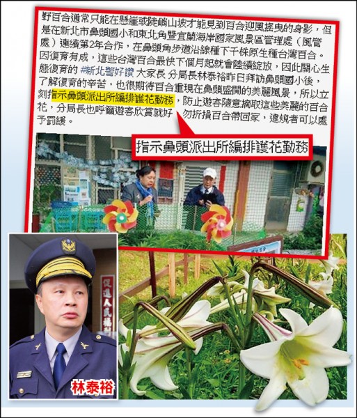 新北市瑞芳警分局長林泰裕因指示鼻頭派出所執行護花勤務，引起基層反彈，圖中為復育百合花去年盛開的模樣。（記者吳昇儒攝、瑞芳警好讚臉書）