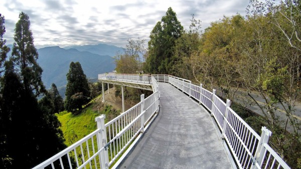 清境景觀高架步道有如建在雲端上，十分美麗。（南投縣府提供）