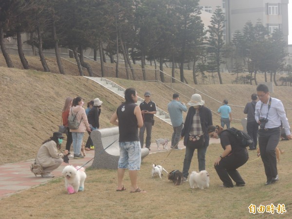 澎湖毛小孩有福了！擁有專有的寵物公園。（記者劉禹慶攝）