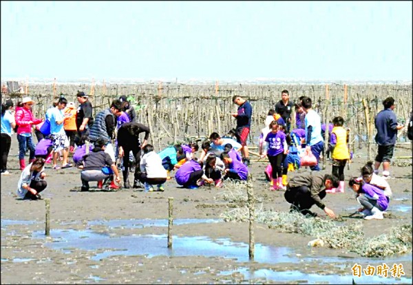 苗栗縣東河國小、桃園市桃國小與彰化縣美豐國小，一起到王功潮間帶體驗濱海特色文化。（記者陳冠備攝）