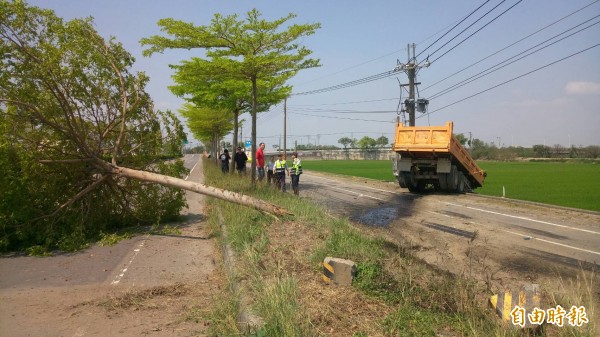 斗南苓德路、雲科路路口今天早上發生砂石車衝撞路樹、電線桿意外。（記者黃淑莉攝）