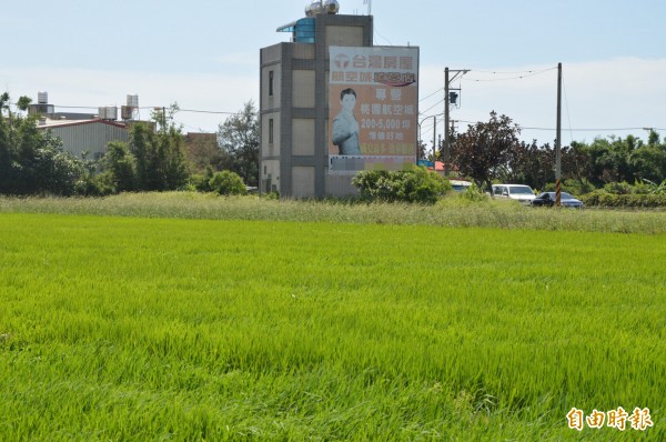 大園地區農地還可見到航空城銷售看板，只是成交量仍屬低檔盤旋。（資料照，記者謝武雄攝）