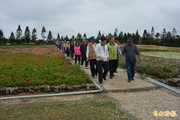 白沙鄉村鄰長徜徉花海之美，自強活動相當快樂。（記者劉禹慶攝）