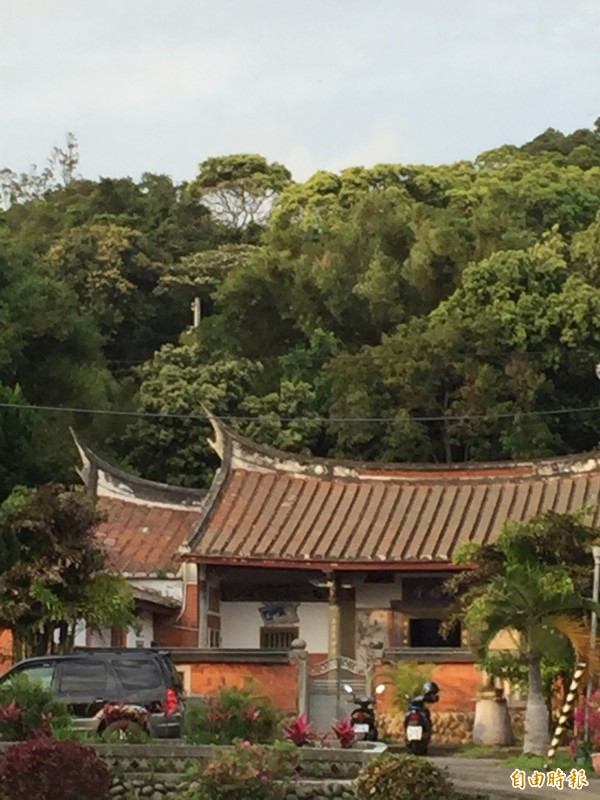 新竹縣境內各地青山迄今不見被桐花染白頭，不見花蹤。（記者黃美珠攝）