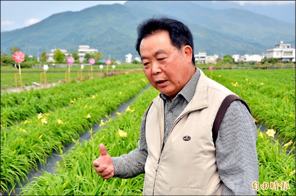 花蓮平地金針花陸續綻放，萱草達人曾永坤預計五月為全盛開花時期。（記者王峻祺攝）