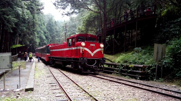 憑阿里山森林鐵路去回票，可免費換乘日本黑部峽谷鐵道。圖為阿里山林鐵。（林務局提供）