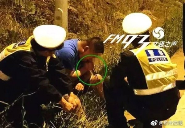 中國1名涉嫌酒駕的馬男，為逃避交警臨檢，半路下車逃跑未果，竟在路邊吃起草來。（圖擷取自《都市快報》）