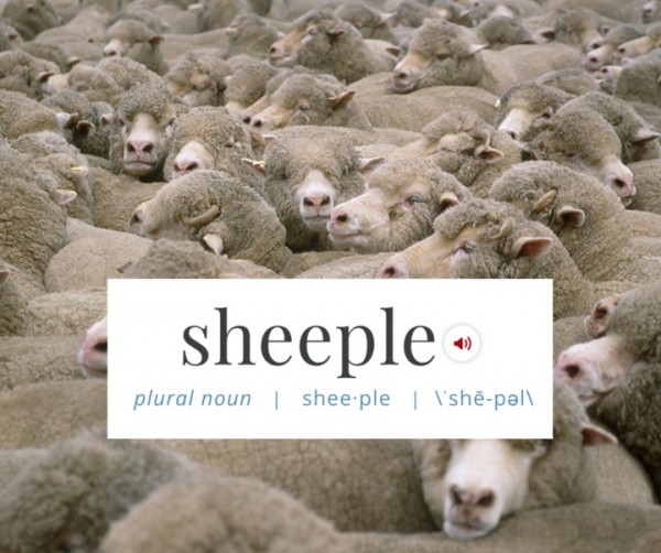 《韋氏大詞典》日前添加新詞，用「sheeple」來形容盲目追求潮流者。（圖擷取自《赫芬頓郵報》）