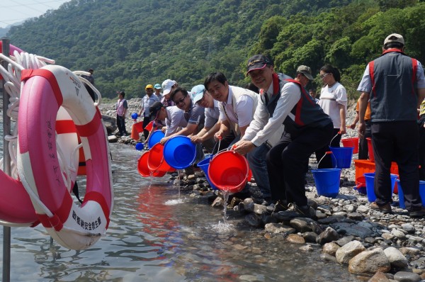 大甲溪原生種溪哥、石礗魚魚苗，由與會人士一一放流。（圖由大甲溪發電廠提供）