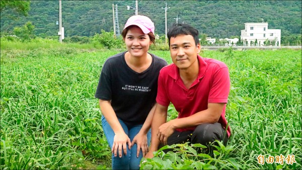 吉安鄉三十一歲青年農民黎彥宏（右）夫妻倆種植韭菜通過產銷履歷檢驗，是全國唯一取得產銷履歷的韭菜產品。（記者王錦義攝）