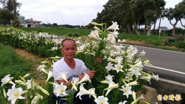 李萬益為了與媽媽的承諾，將自家後院打造成鐵炮百合花園。（記者邱奕統攝）