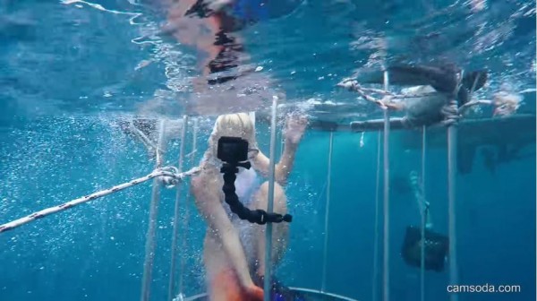 網傳色情女星茉莉卡瓦利日前拍攝廣告時，慘遭鯊魚攻擊。（圖擷自YouTube）