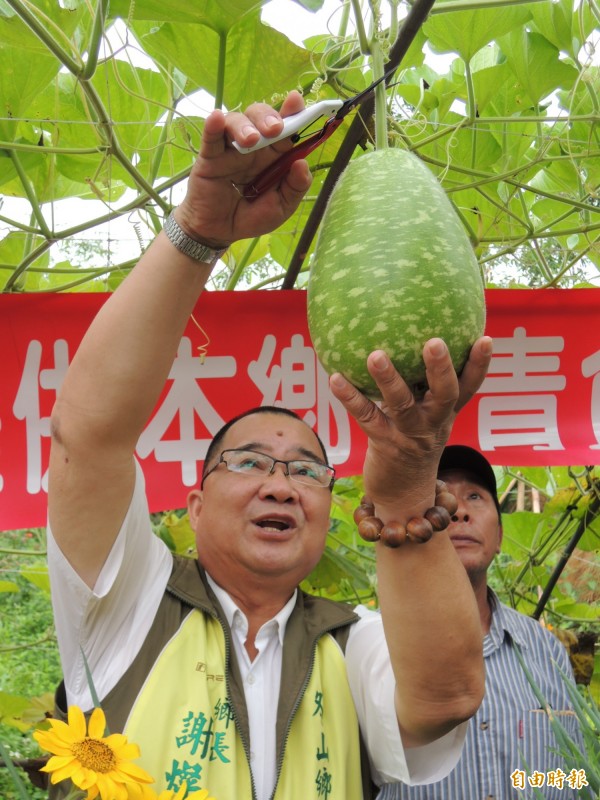 冬山鄉長謝燦輝剪下瓠瓜，啟動捐贈儀式。（記者江志雄攝）