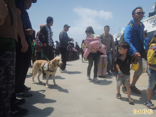 澎湖縣政府警察局成立離島首支警犬隊，在機場與港口加強緝毒。（記者劉禹慶攝）